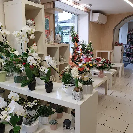 magasin.présentoir.webp