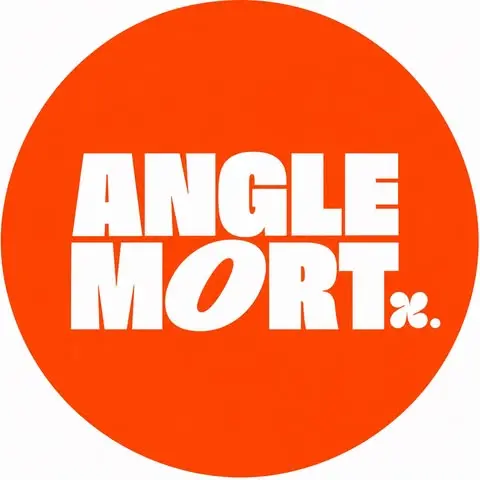 Angle Mort